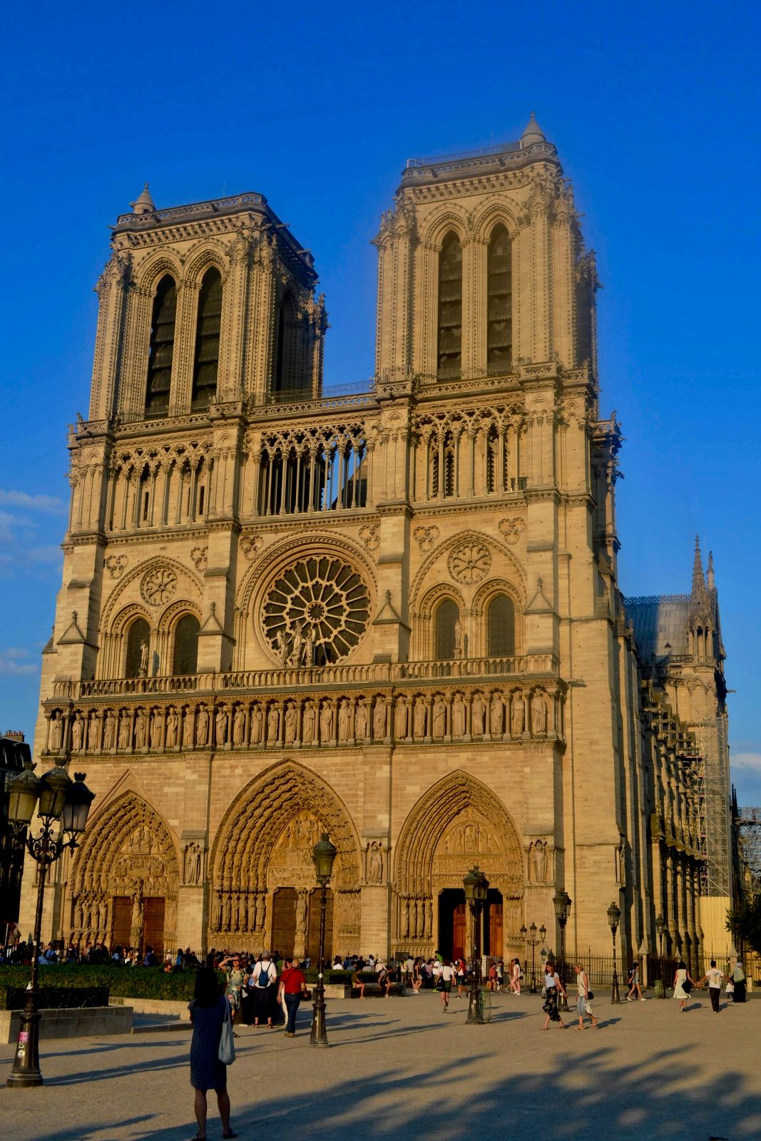 Île de la Cité & Notre-Dame
